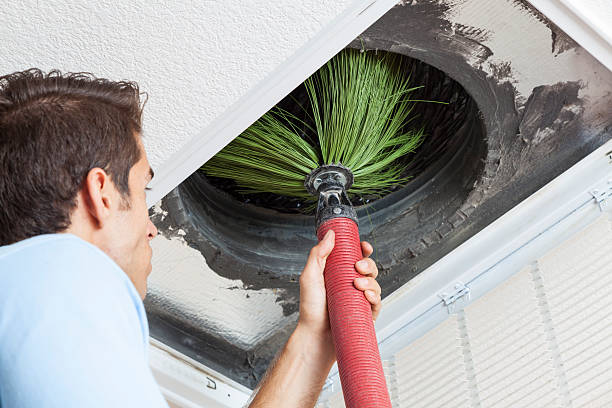 Best Air Duct Cleaning Near Me  in Steilacoom, WA
